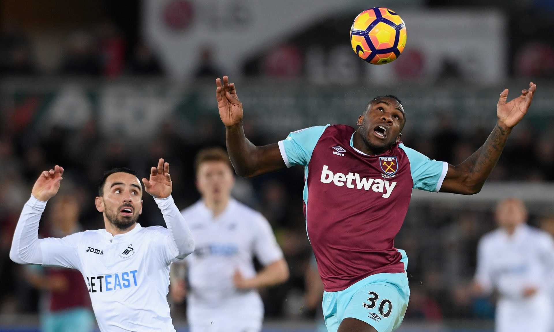 并分析意大 并分析意大