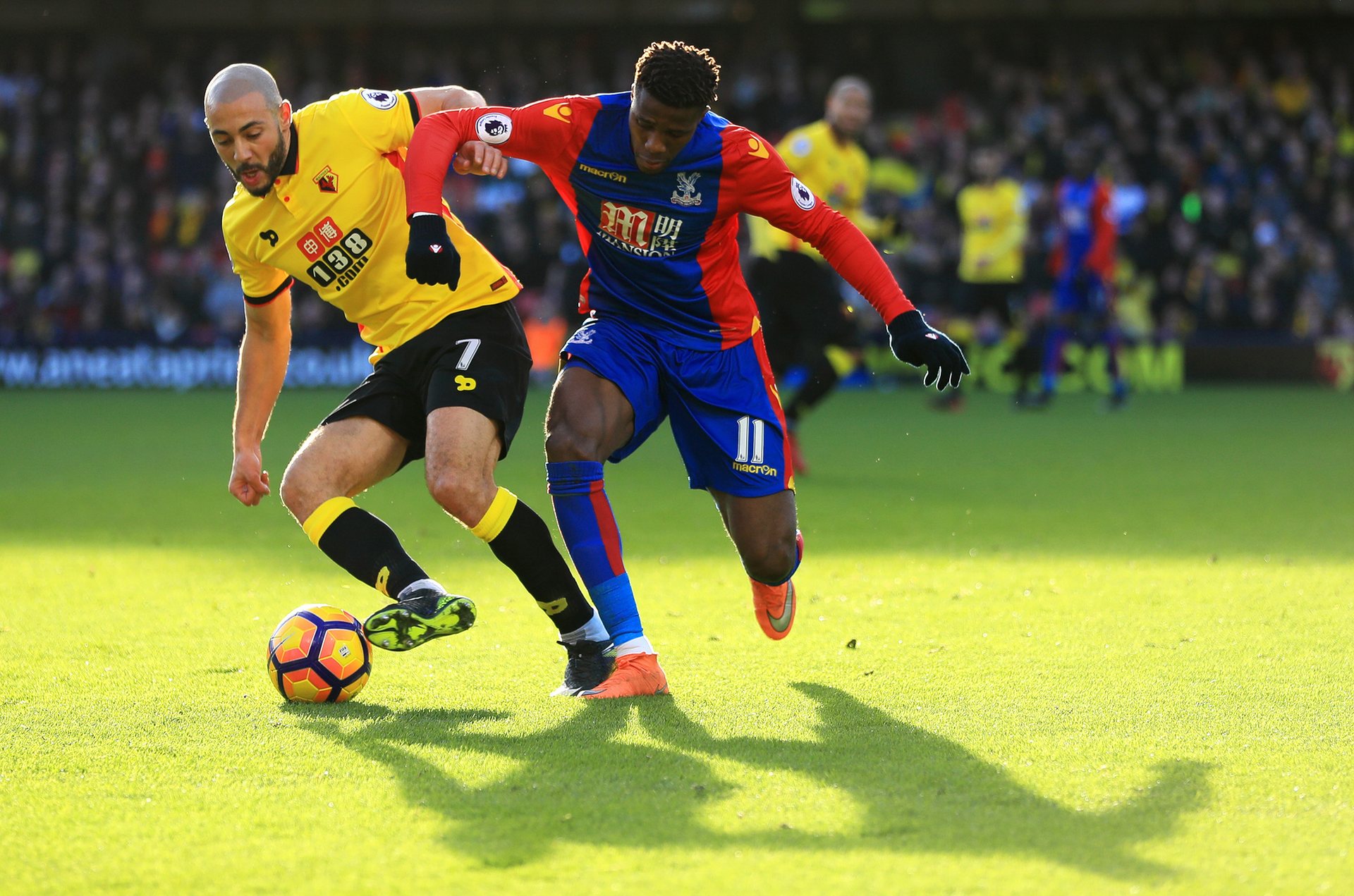 共同努力的 共同努力的