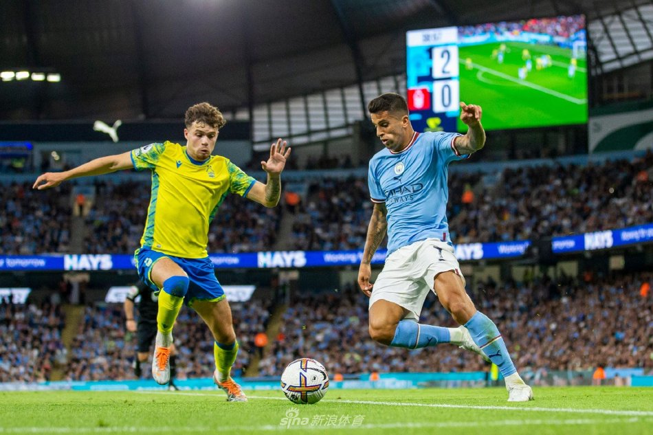 言是一个不 言是一个不